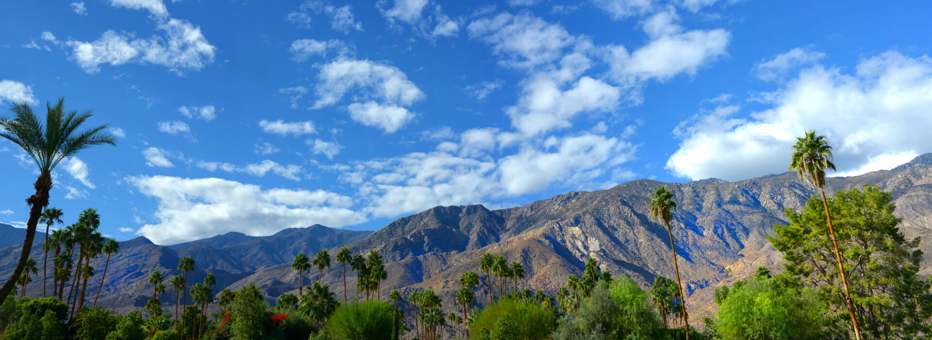 Palm Springs